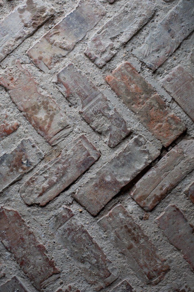 Forest Lodge Farm, Castleton. Cart Shed Brick Floor Detail