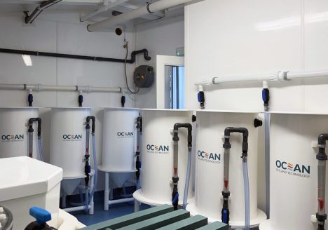 Whitby Lobster Hatchery, Whitby. Phase 1a Completion