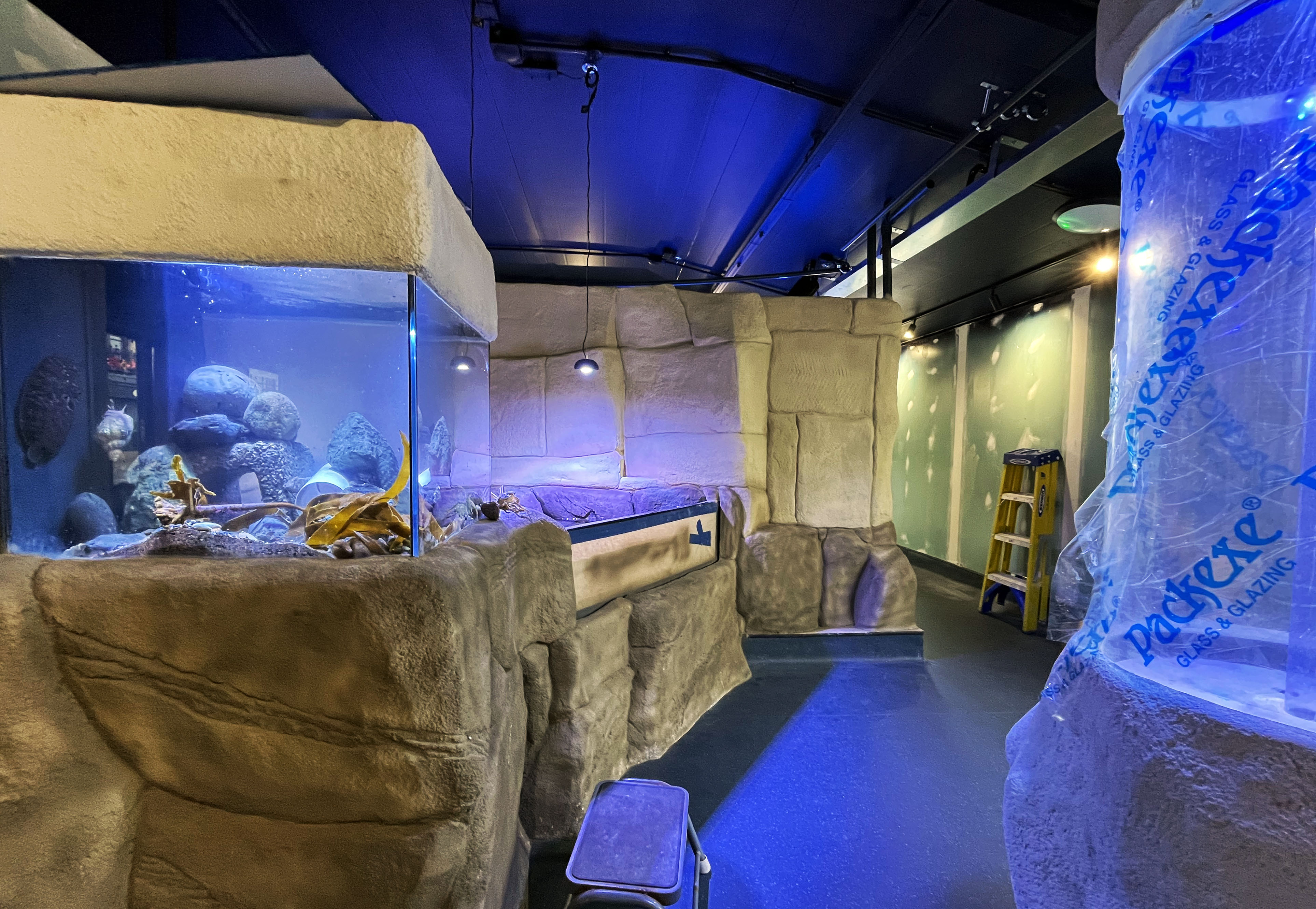 Whitby Marine Discovery Centre Nears Completion Ian Hazard Architect