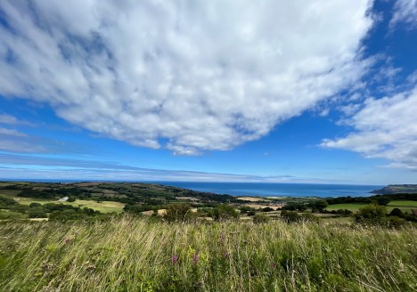 Robin Hood's Bay New Project