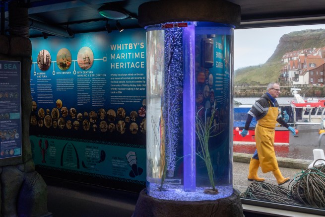 Whitby Lobster Hatchery, Whitby. Marine Discovery Centre Vertical Column and View Out