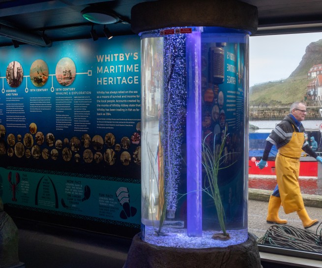 Whitby Lobster Hatchery, Whitby. Marine Discovery Centre Vertical Column and View Out