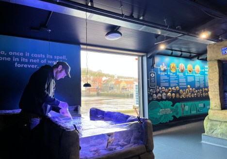 Whitby Lobster Hatchery, Whitby. Marine Discovery Centre Touch Pool