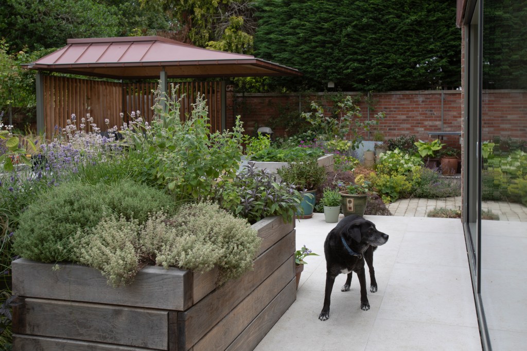 5 Church Lane, York. Contemporary rear extension & garden folly. View of garden folly in landscape.